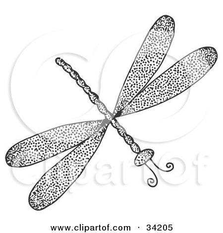 Black And White Dragonfly Tattoo Designs