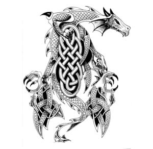 Celtic Dragon Tattoo Designs For Men