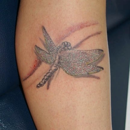 Celtic Dragonfly Tattoo Meaning