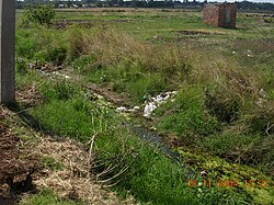 Cholera Zimbabwe