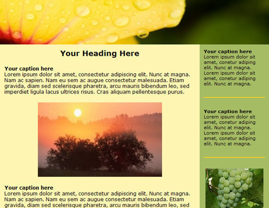 Cool Newsletter Layouts
