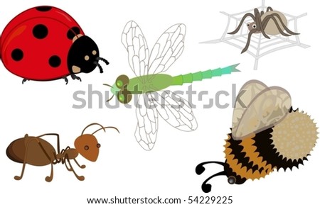 Cute Dragonfly Clipart