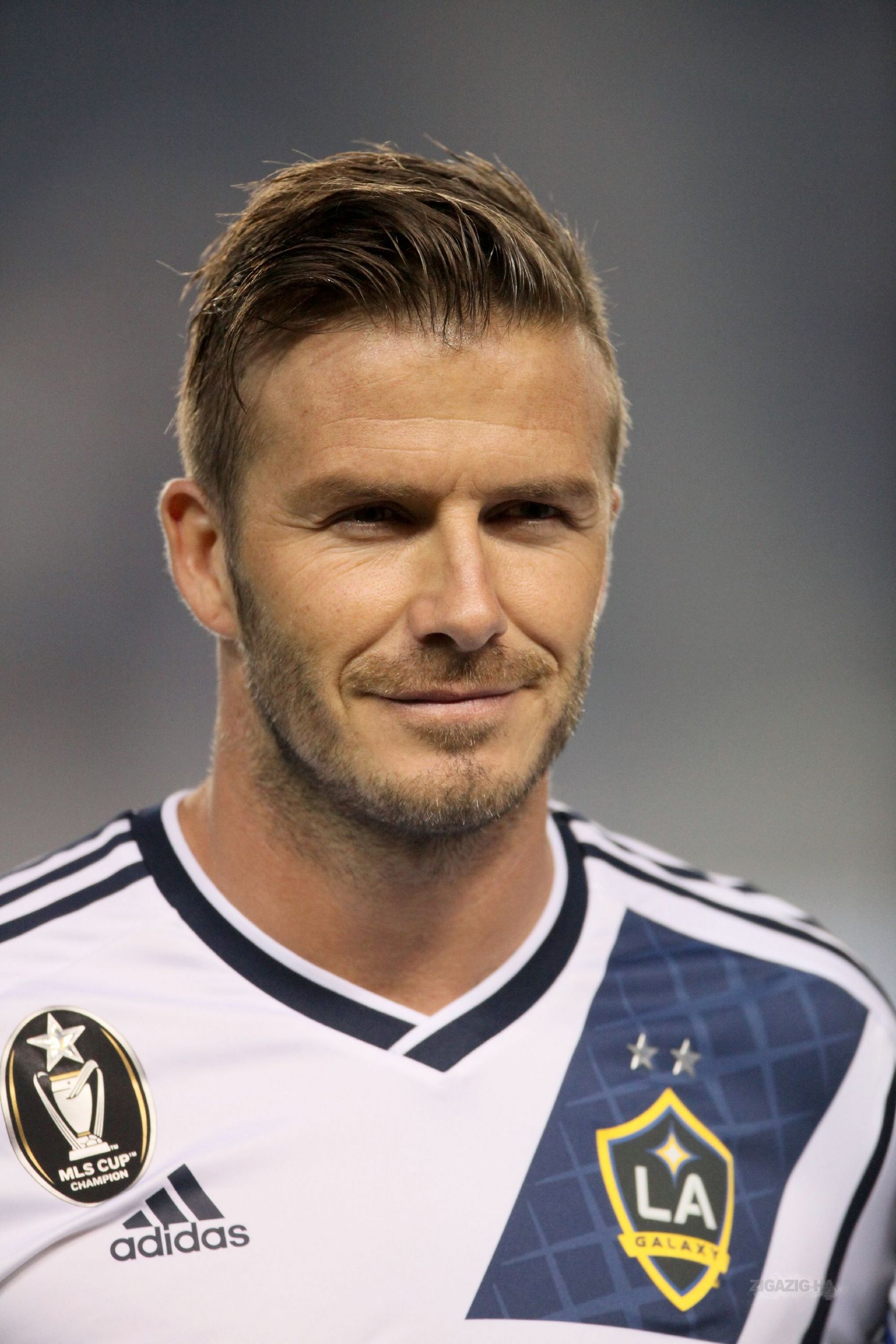 David Beckham Hair 2012 Back