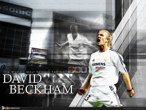 David Beckham Wallpaper Real Madrid