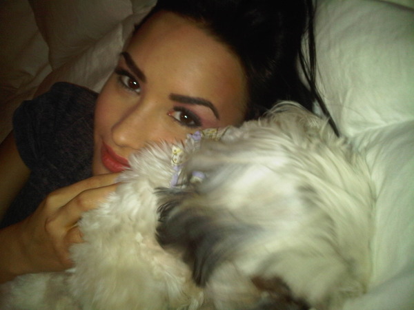 Demi Lovato Eyebrows Tumblr