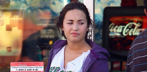Demi Lovato Fat Arms