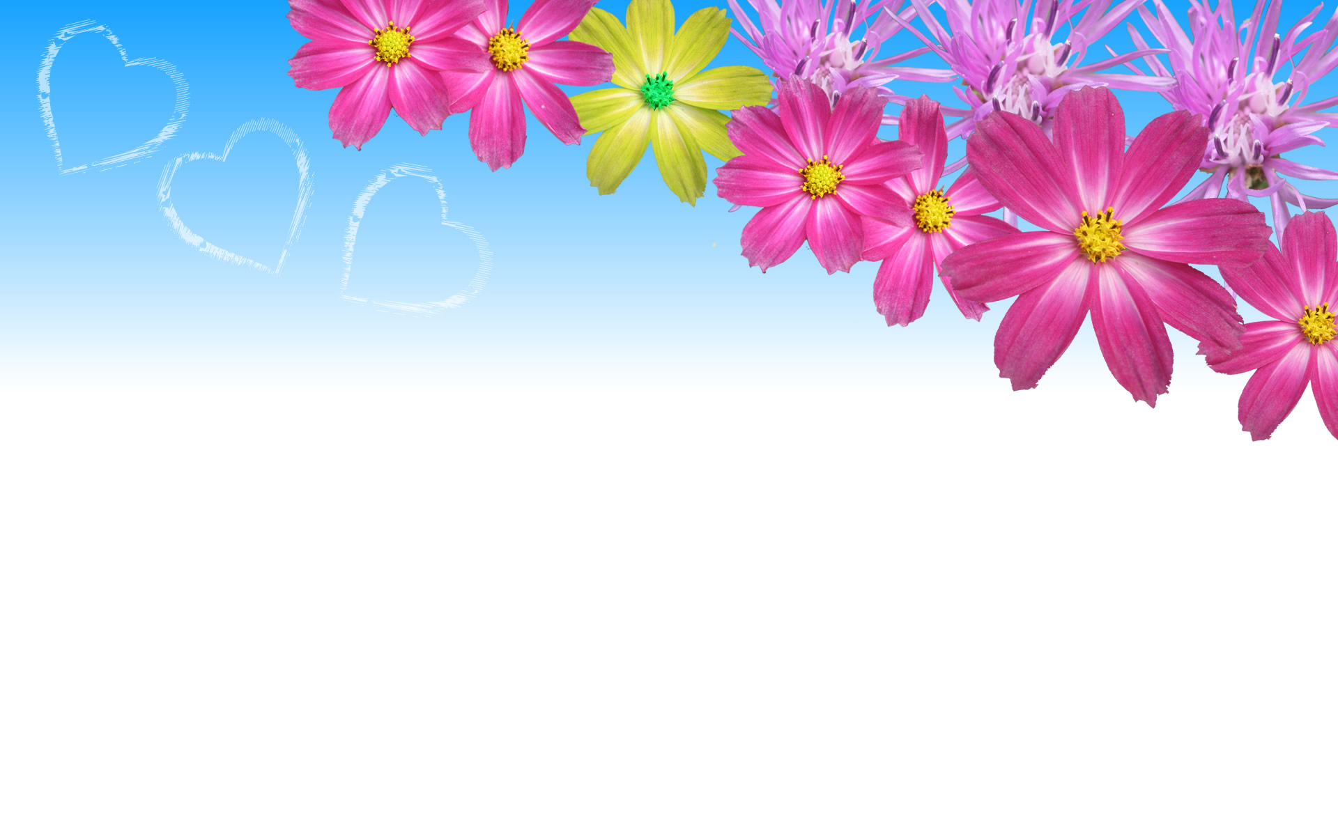 Desktop Wallpaper Flowers High Resolution