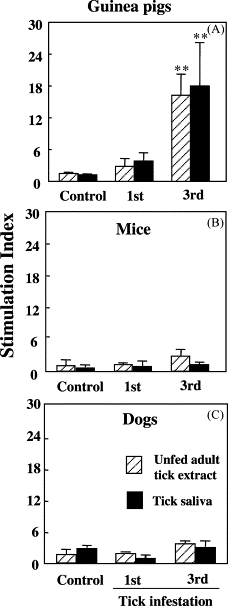 Dog Tick Infestation Treatment