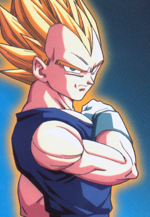 Dragon Ball Z Characters Vegeta