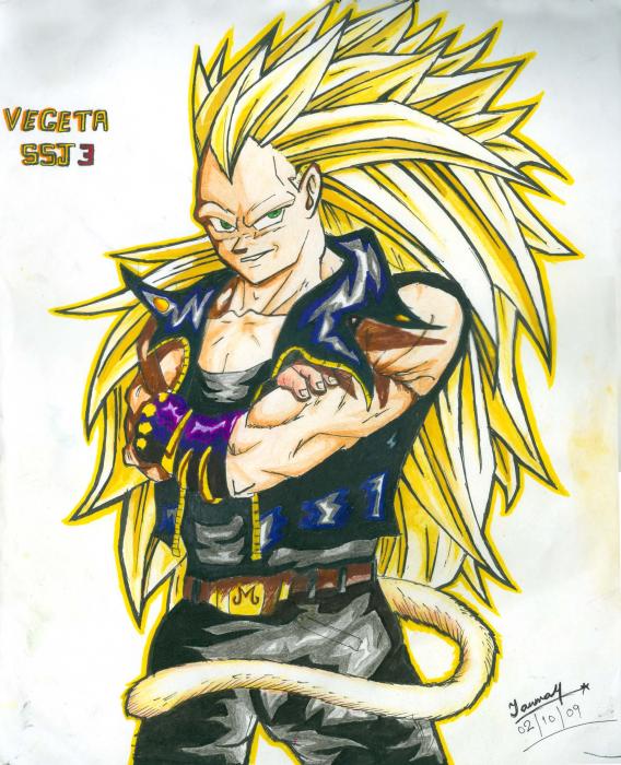 Dragon Ball Z Characters Vegeta