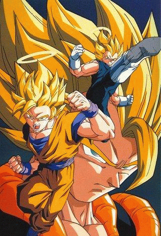 Dragon Ball Z Goku And Vegeta Fusion