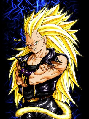 Dragon Ball Z Goku And Vegeta Fusion