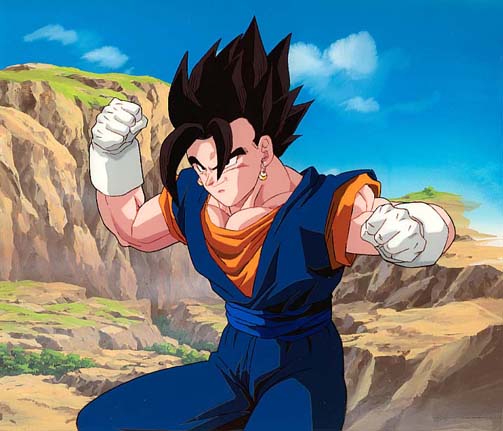 Dragon Ball Z Goku And Vegeta Fusion