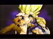 Dragon Ball Z Goku And Vegeta Fusion