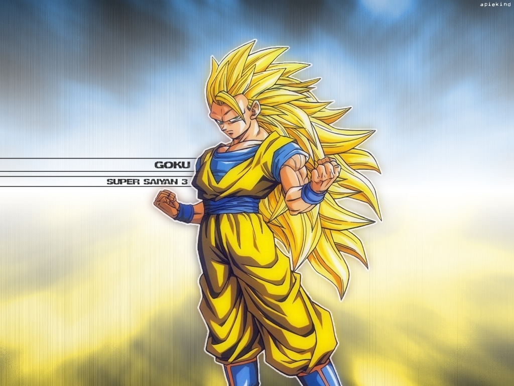 Dragon Ball Z Goku Super Saiyan 100