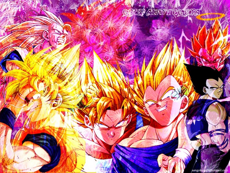 Dragon Ball Z Wallpapers Goku