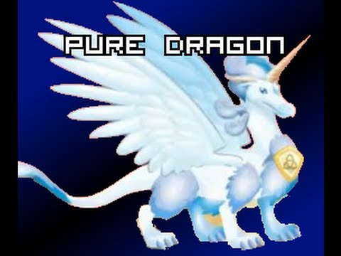 Dragon City Breeding List With Pictures
