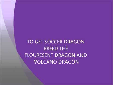 Dragon City Breeding Soccer Wiki