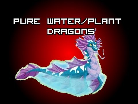 Dragon City Pure Dragon Breeding Chart