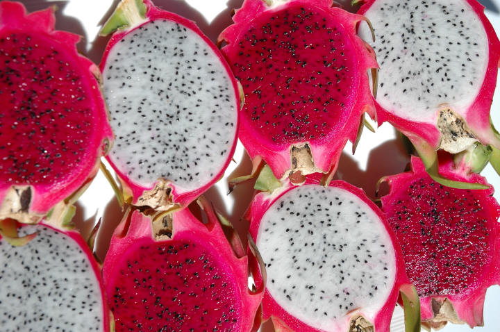 Dragon Fruit