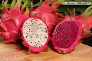 Dragon Fruit Benefits Health