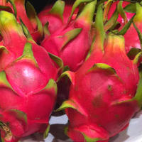 Dragon Fruit Benefits Nutrition