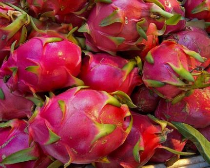 Dragon Fruit Benefits Nutrition