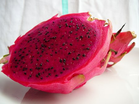 Dragon Fruit Plant