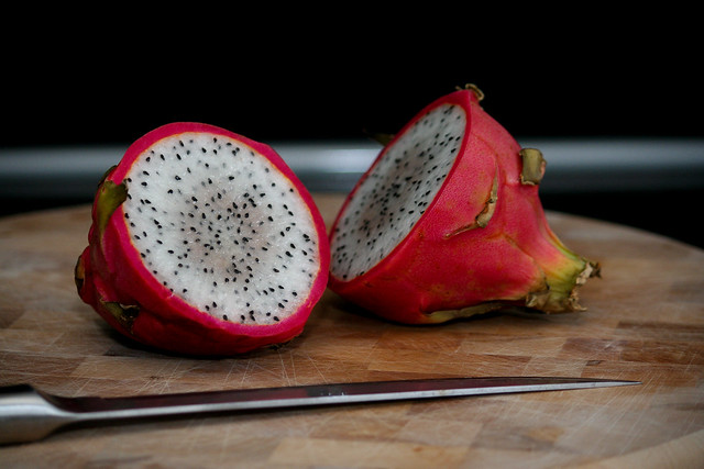 Dragon Fruit Plantation Sri Lanka