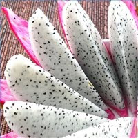 Dragon Fruit Recipes