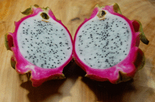 Dragon Fruit Recipes Drinks