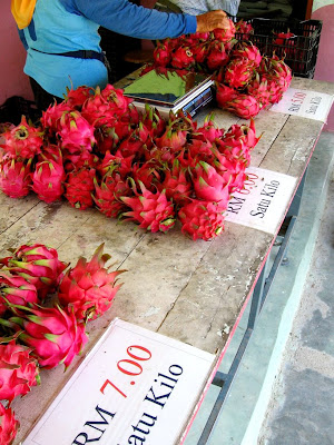 Dragon Fruit Tree