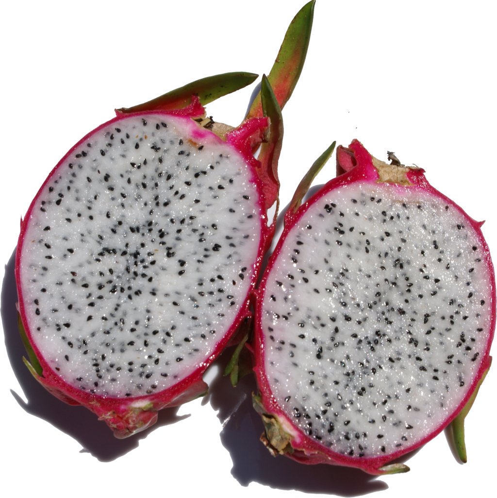 Dragon Fruit Tree Care