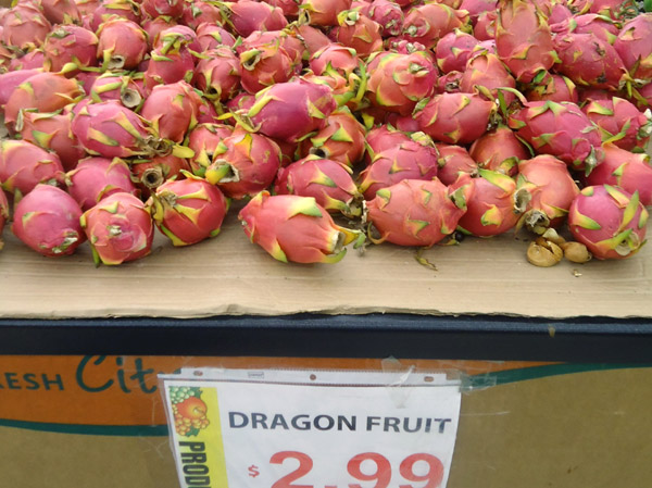 Dragon Fruit Tree For Sale