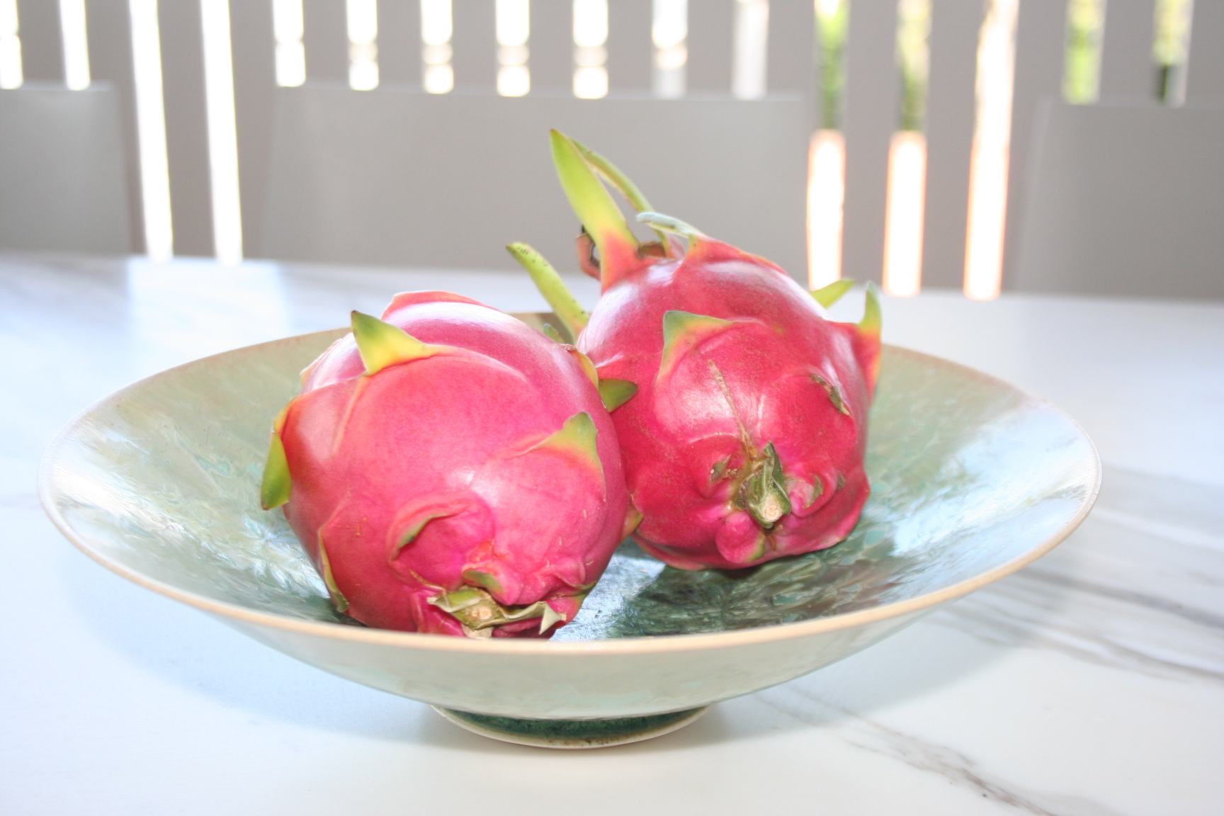 Dragon Fruit Tree Plant