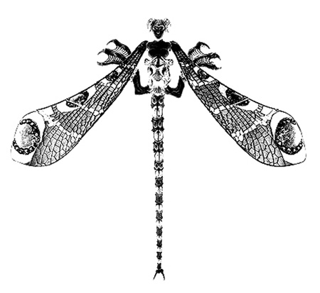 Dragonfly Art Nouveau