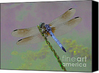 Dragonfly Artwork Canvas Prints