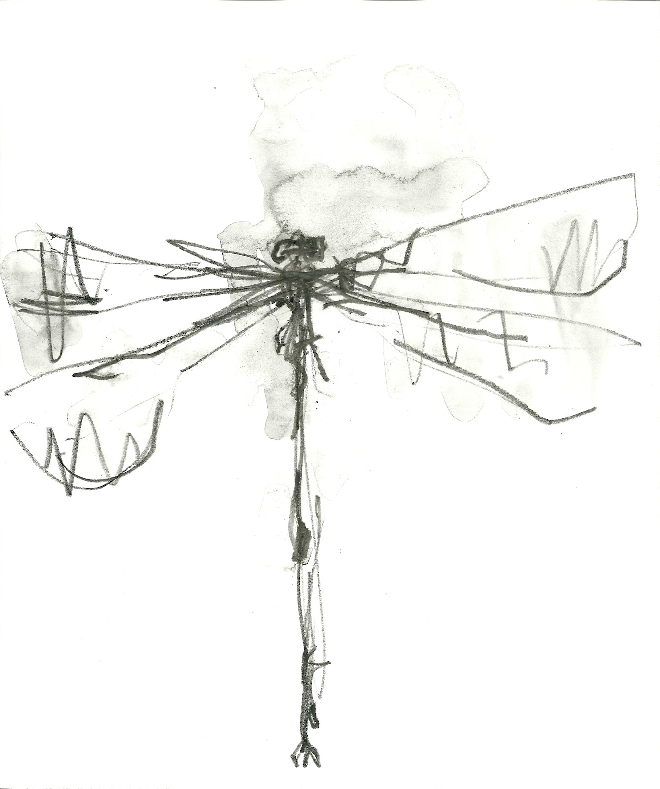 Dragonfly Drawing Template