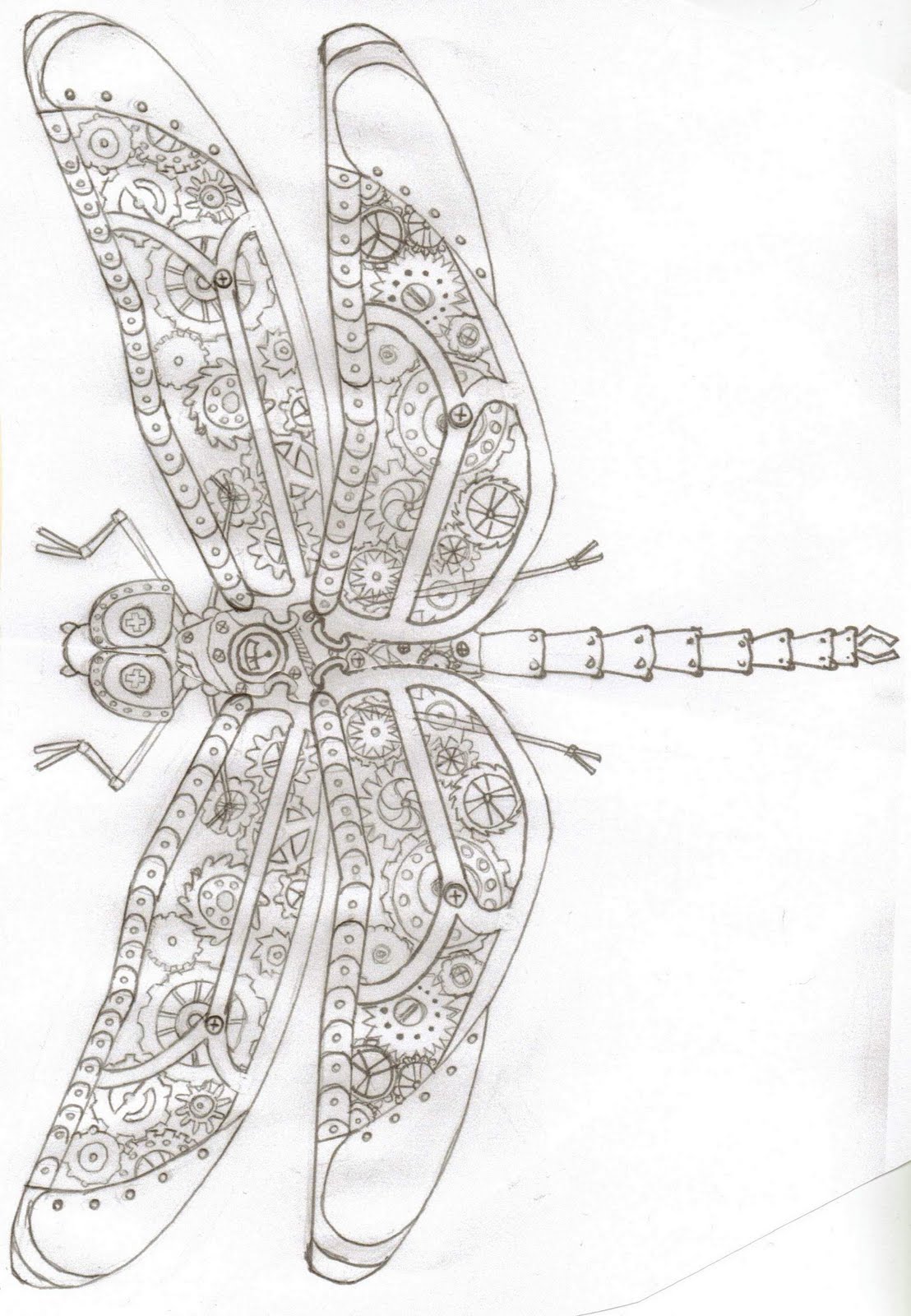 Dragonfly Drawing Template