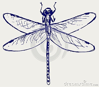 Dragonfly Drawing Template