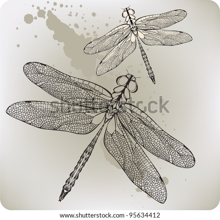 Dragonfly Drawings Designs