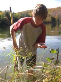 Dragonfly Larvae Identification Guide