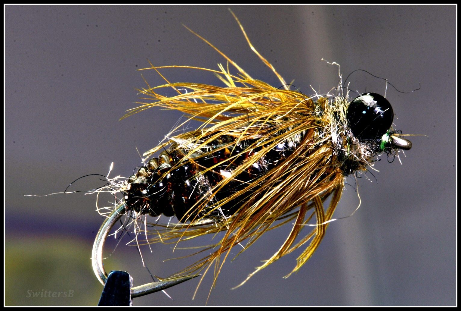 Dragonfly Nymph Fly Fishing