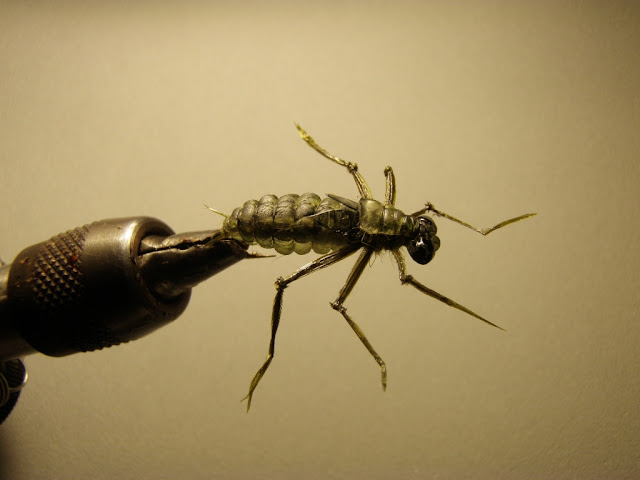 Dragonfly Nymph Fly Fishing