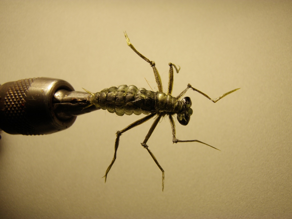 Dragonfly Nymph Fly Pattern