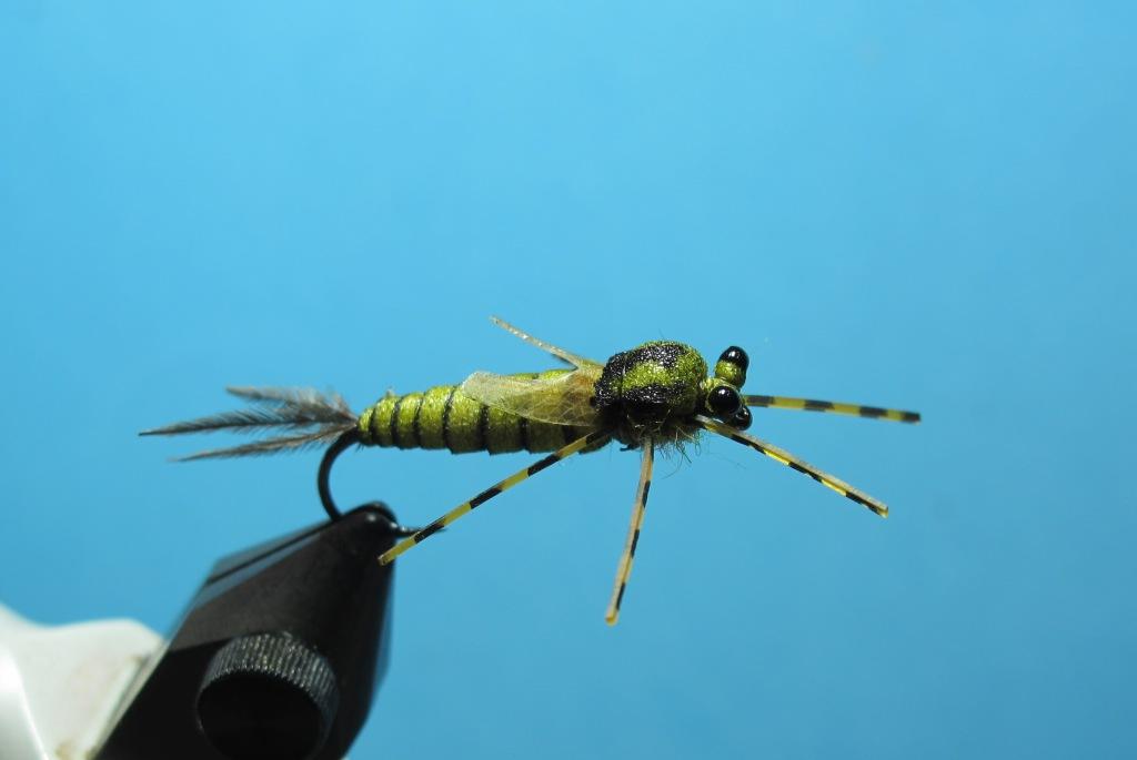 Dragonfly Nymph Fly Tying