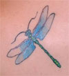 Dragonfly Tattoo Designs For Men