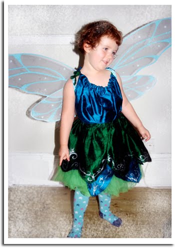 Dragonfly Wings Costume