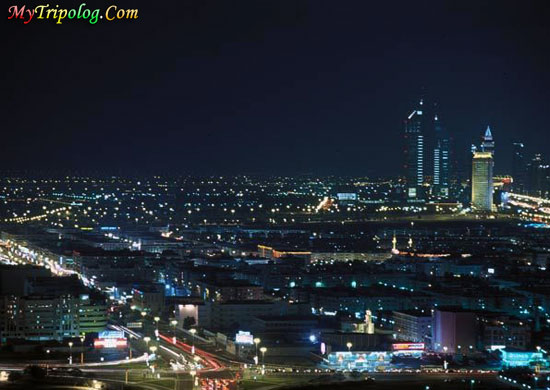 Dubai City Buildings