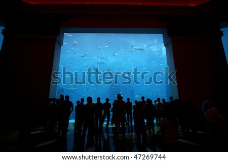 Dubai Hotel Room Aquarium